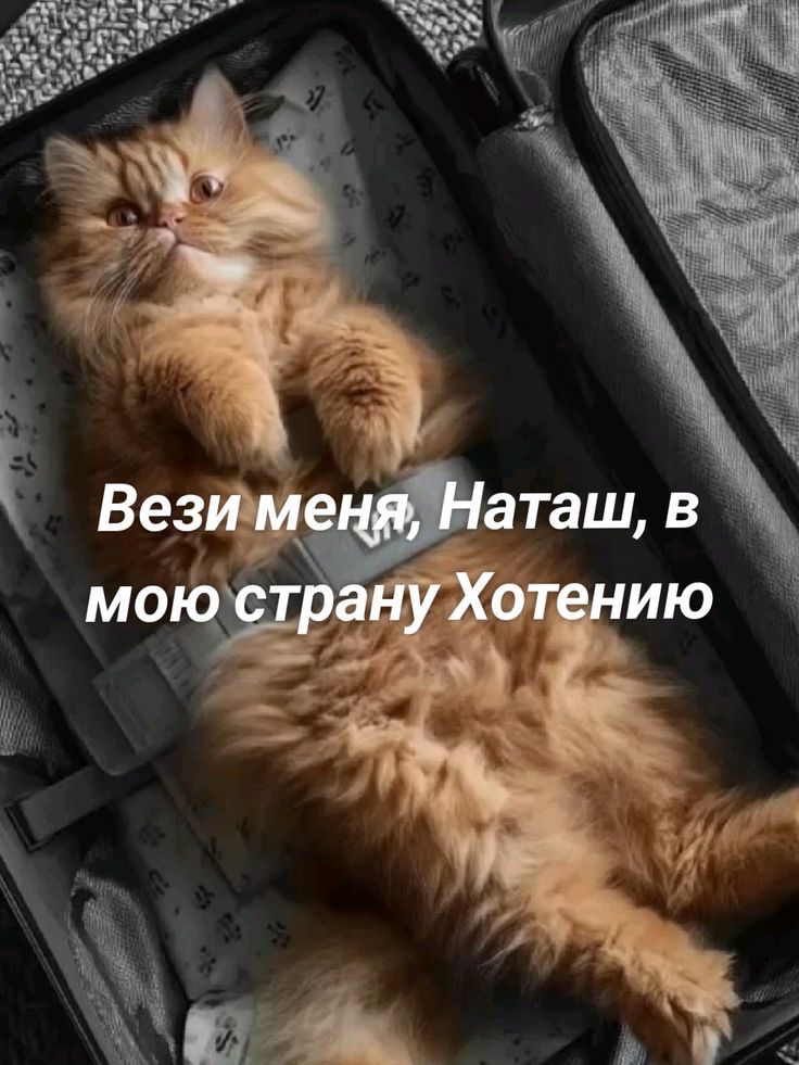 Вези меня, Наташ, в мою страну Хотению