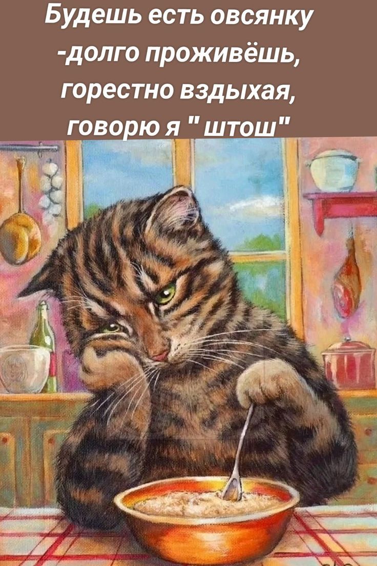 Будешь есть овсянку - долго проживёшь, горестно вздыхая, говорю я 
