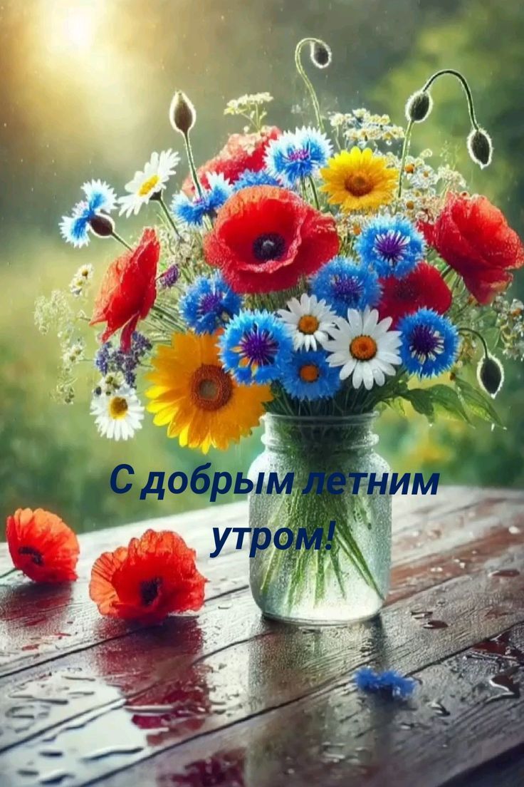 С добрым летним утром!