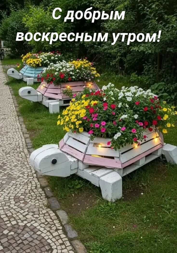 С добрым воскресным утром!