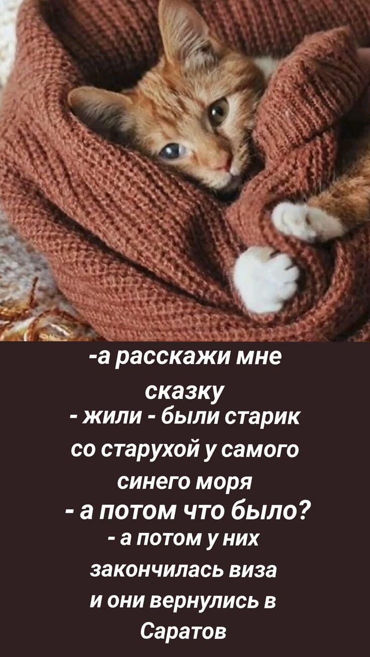 - а расскажи мне сказку
- жили - были старик
со старухой у самого
синего моря
- а потом что было?
- а потом у них
закончилась виза
и они вернулись в Саратов