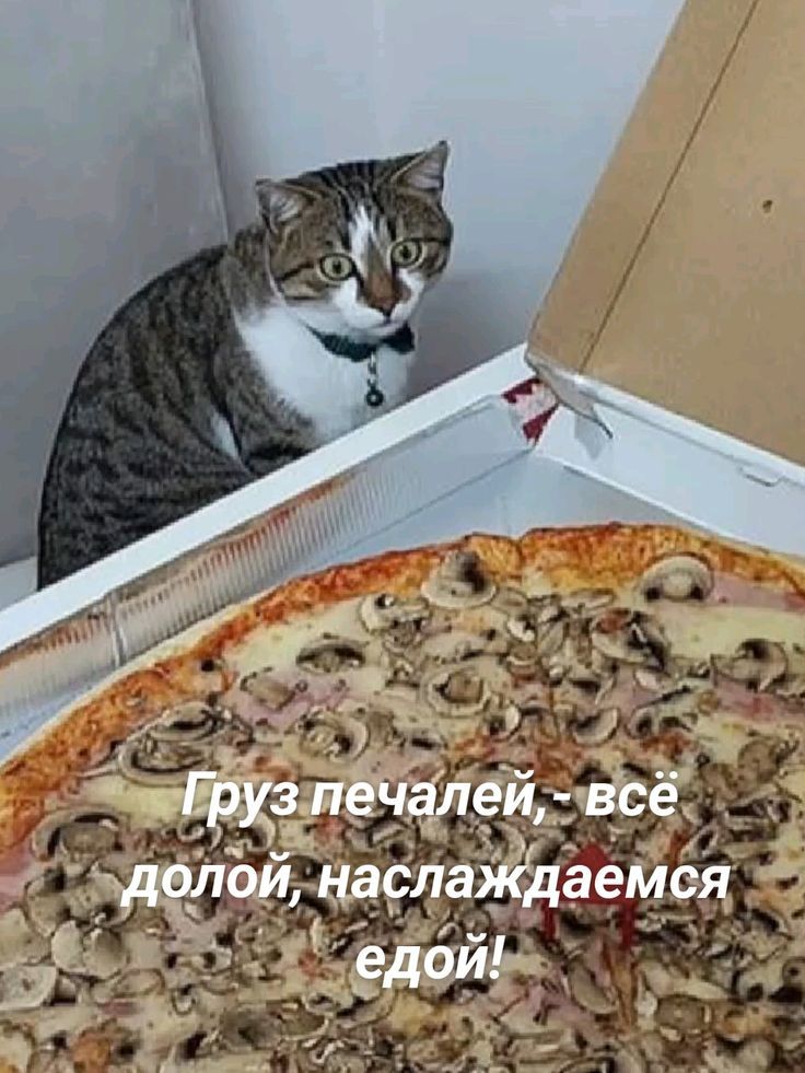 Груз печалей,- всё долой, наслаждаемся едой!