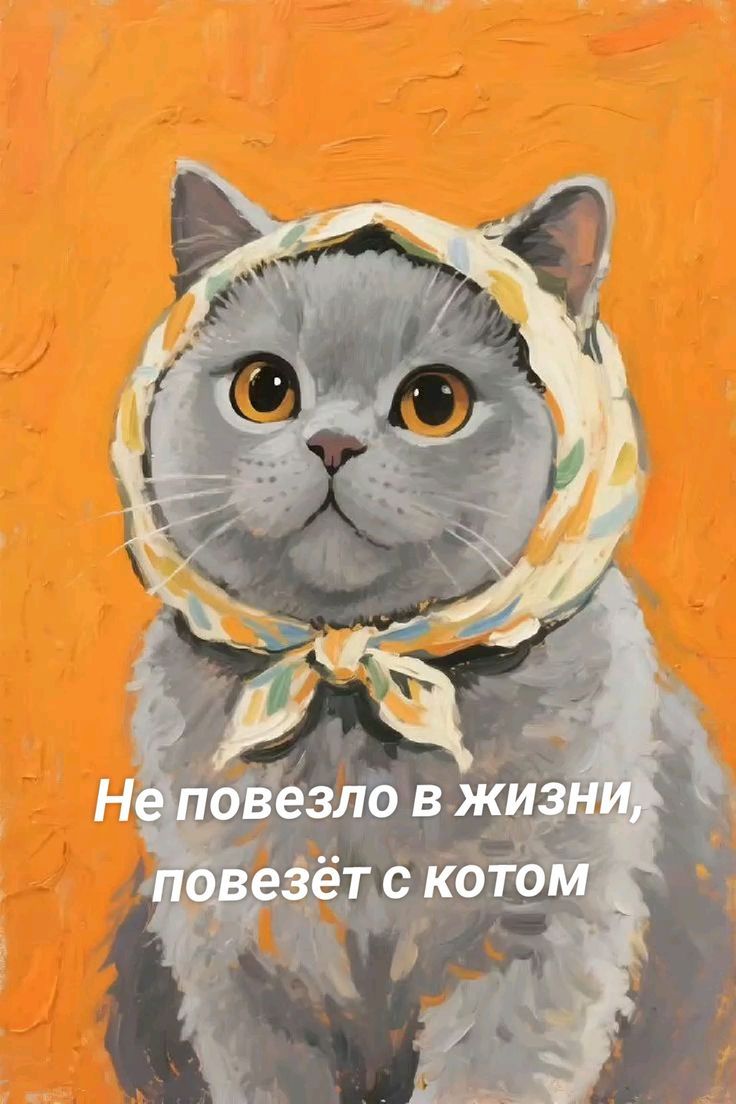 Не повезло в жизни, повезёт с котом
