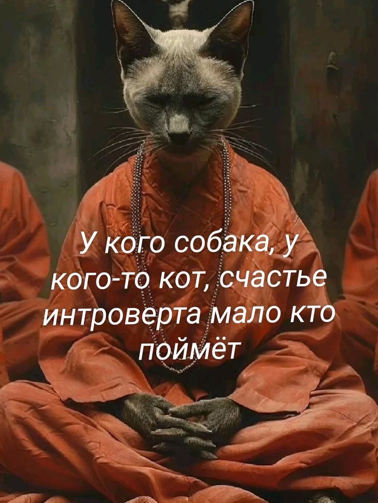 У кого собака, у кого-то кот, счастье интроверта мало кто поймёт