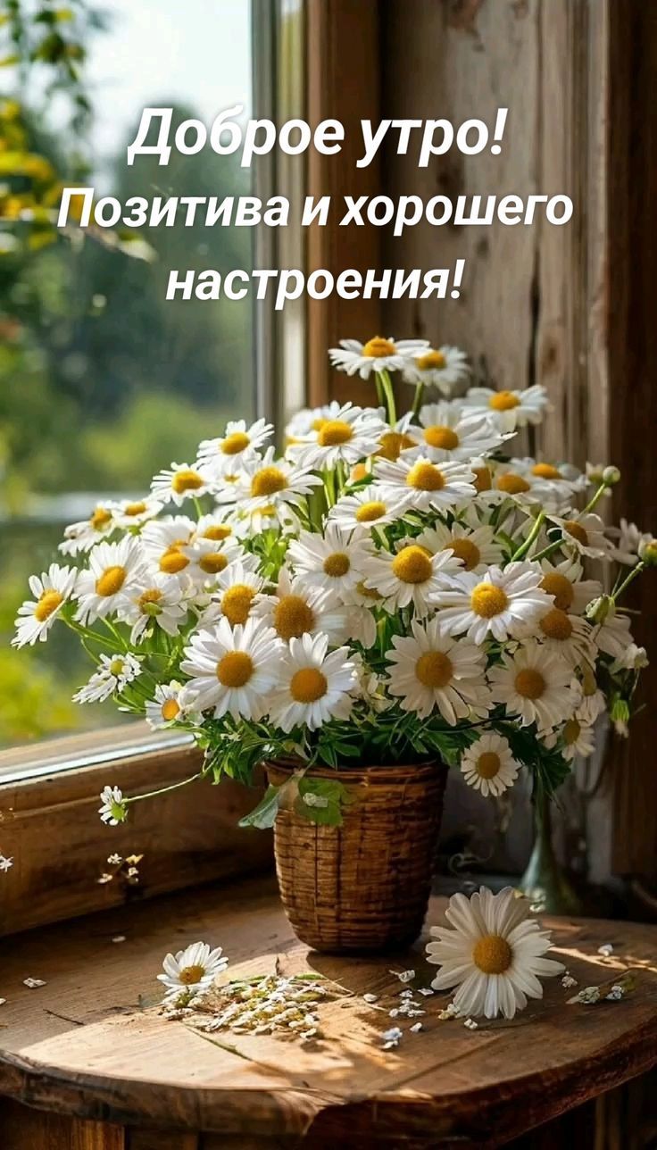 Доброе утро! Позитива и хорошего настроения!