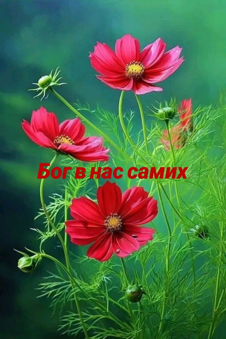 Бог в нас самих