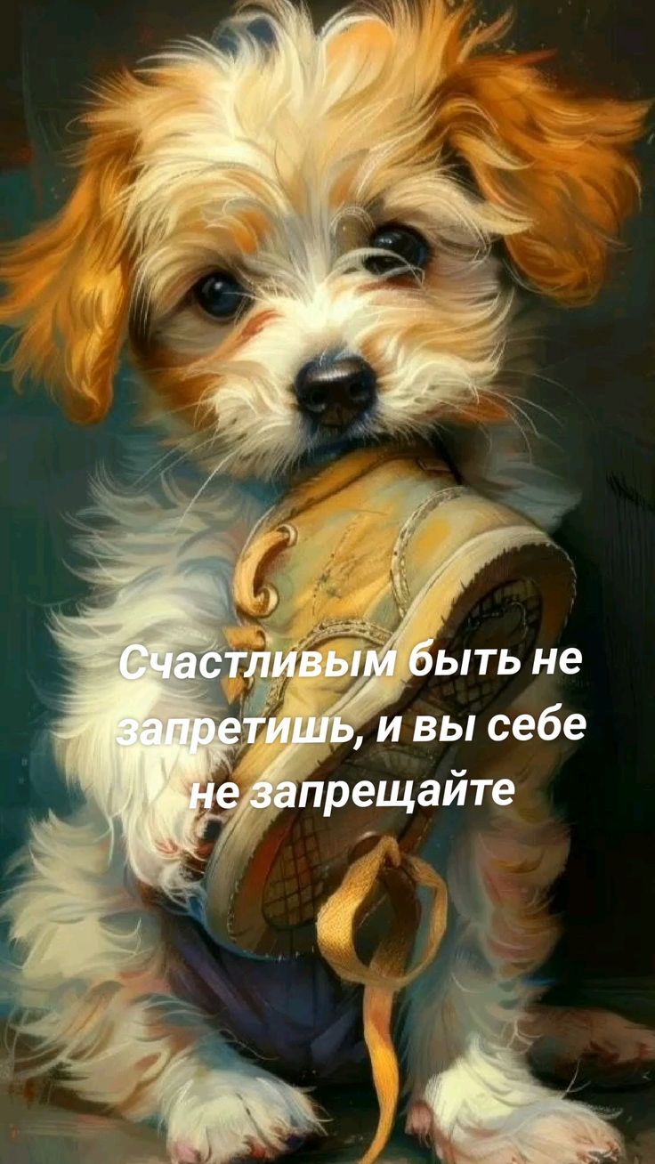 Счастливым быть не запретишь, и вы себе не запрещайте