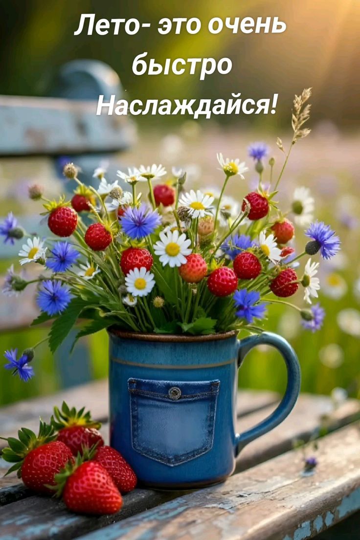 Лето- это очень быстро Наслаждайся!