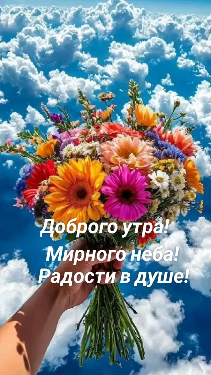 Доброе утро! Мирного неба! Радости в душе!