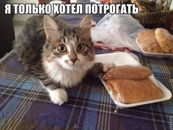 Я только хотел потрясти.
