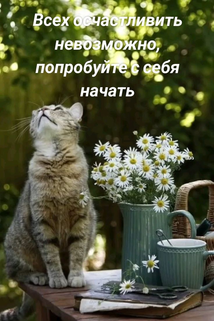 Всех осчастливить невозможно, попробуйте с себя начать