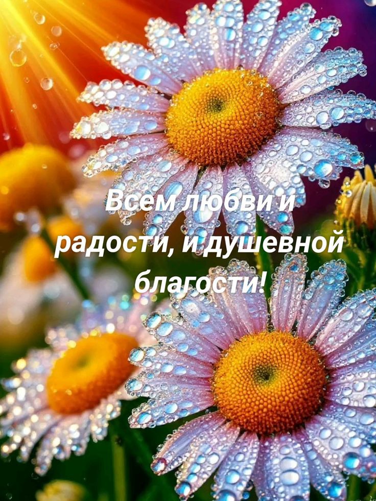 Всем любви и радости, и душевной благости!
