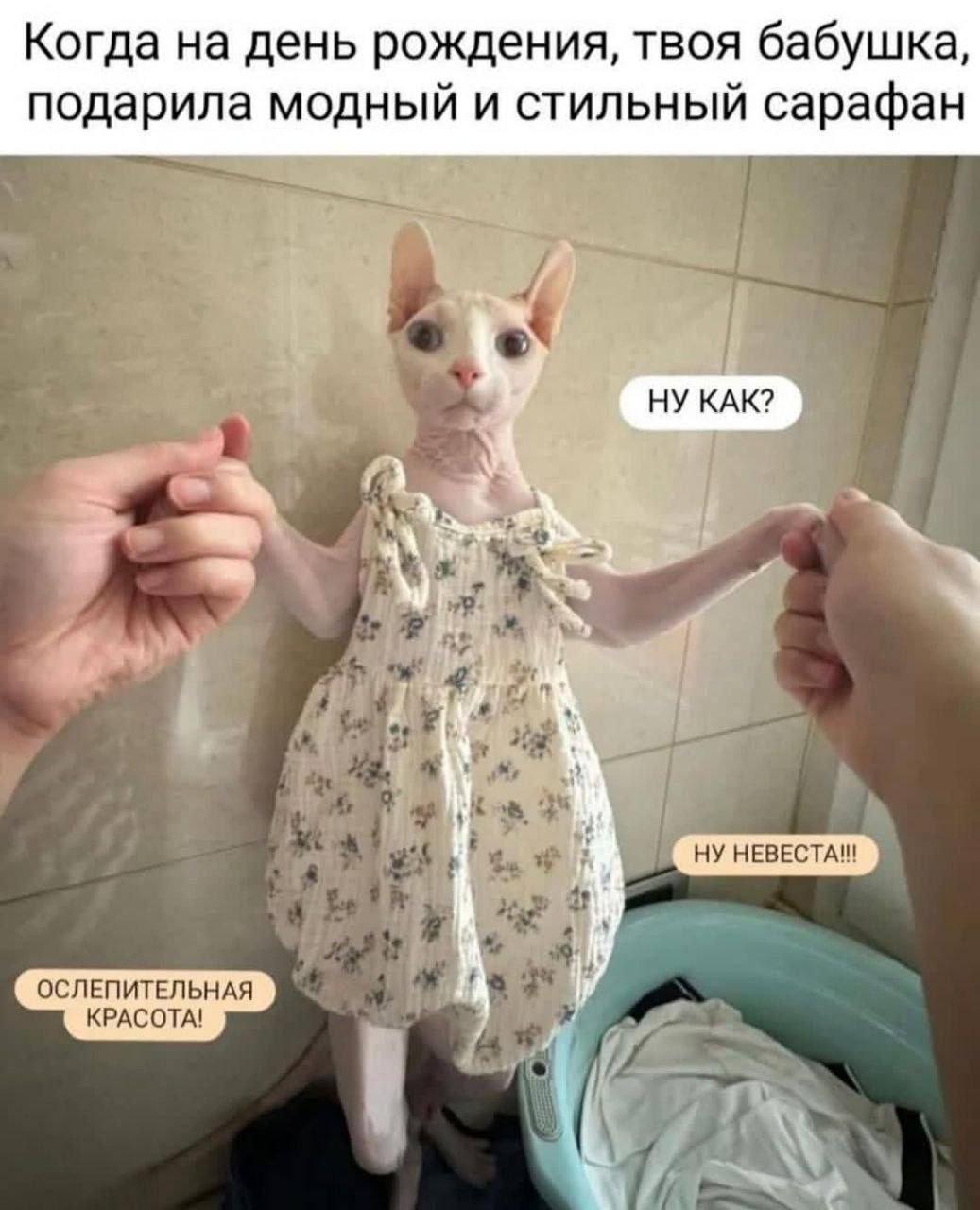 Когда на день рождения, твоя бабушка, подарила модный и стильный сарафан
НУ КАК?
НУ НЕВЕСТА!!!
ОСЛЕПИТЕЛЬНАЯ КРАСОТА!