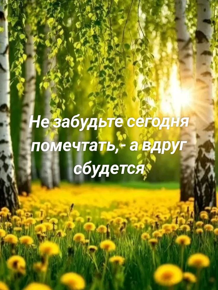 Не забудьте сегодня помечтать, - а вдруг сбудется