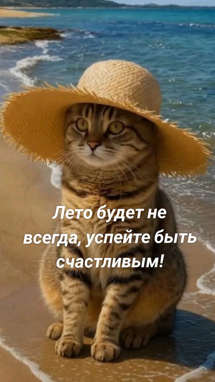 Лето будет не всегда, успейте быть счастливым!