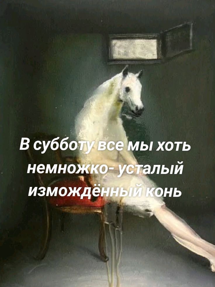 В субботу все мы хоть немножко- усталый измождённый конь