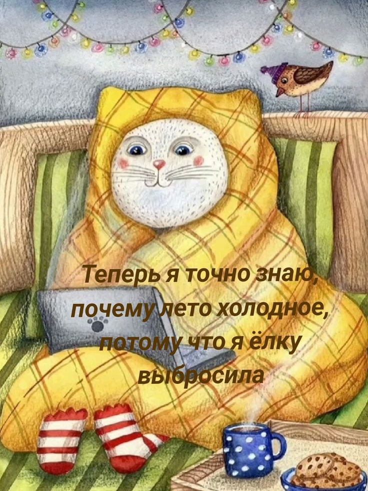 Теперь я точно знаю, почему лето холодное, потому что я ёлку выбросила