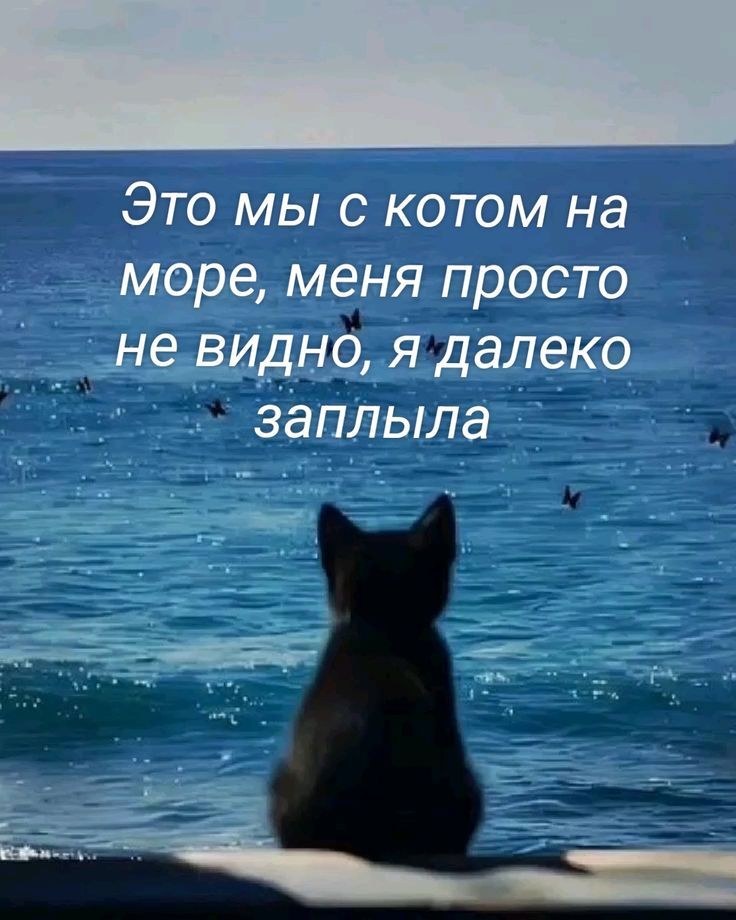 Это мы с котом на море, меня просто не видно, я далеко заплыла