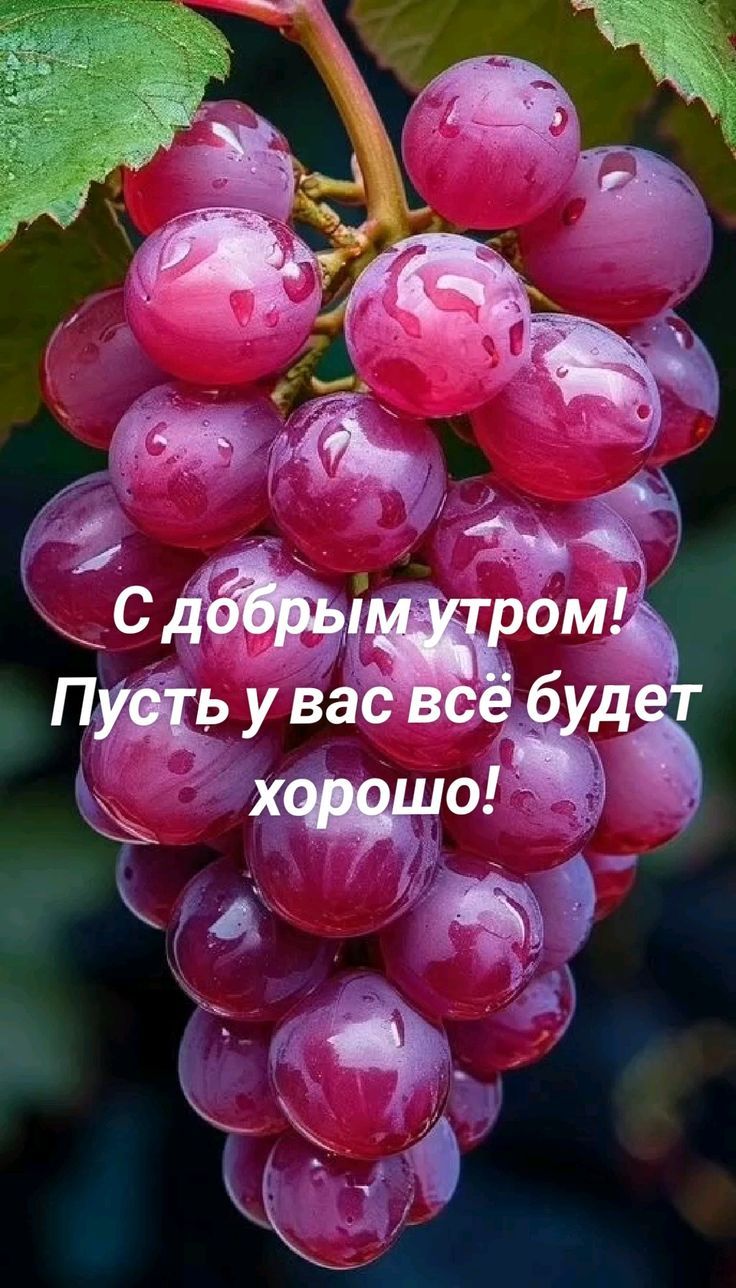 С добрым утром! Пусть у вас всё будет хорошо!