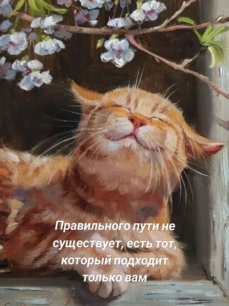 Правильного пути не существует, есть тот, который подходит только вам