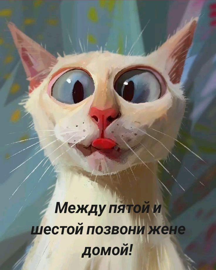 Между пятой и шестой позвони жене домой!