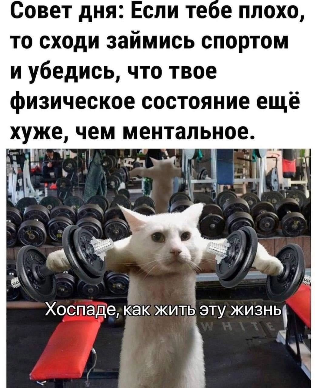 Совет дня: Если тебе плохо, то сходи займись спортом и убедись, что твое физическое состояние ещё хуже, чем ментальное.
Хоспаде, как жить эту жизнь.