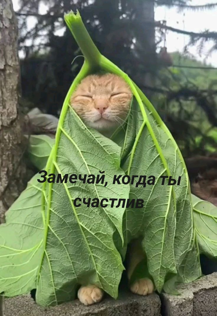 Замечай, когда ты счастлив