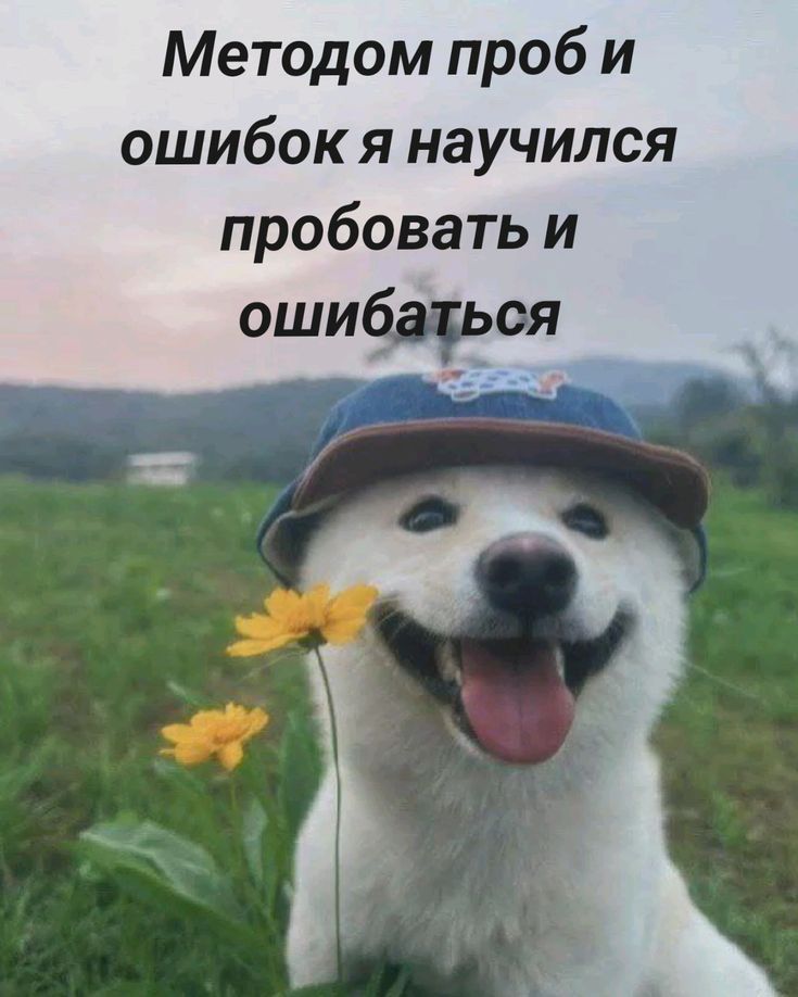 Методом проб и ошибок я научился пробовать и ошибаться