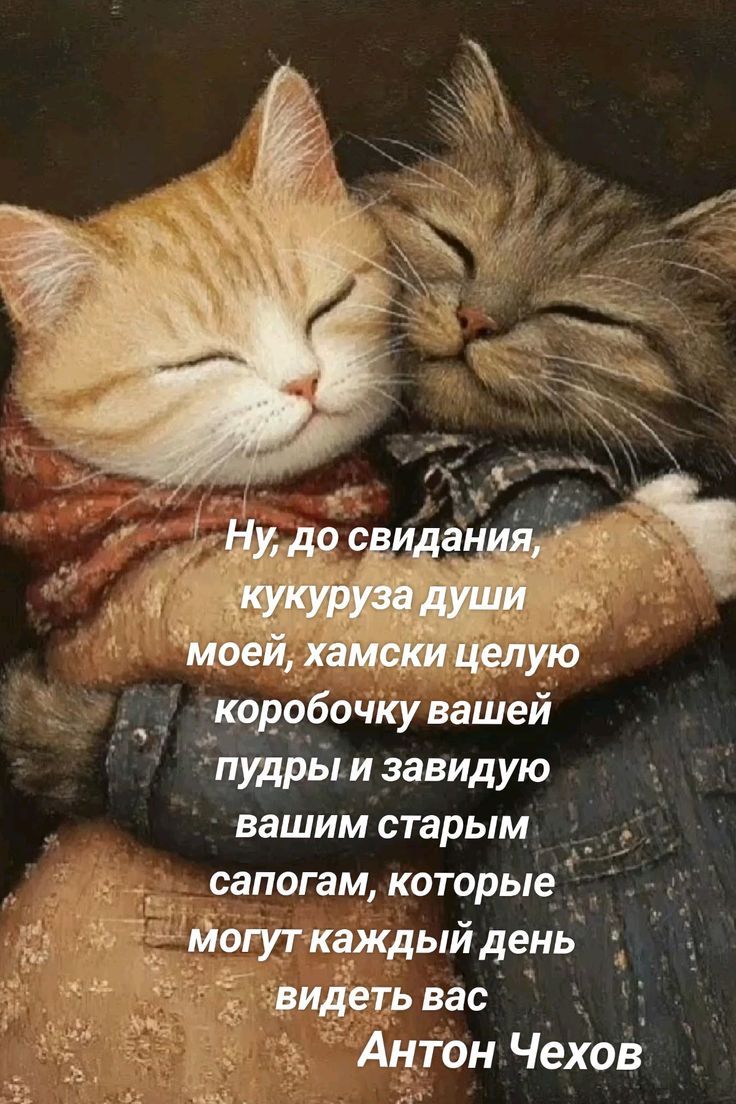 Ну, до свидания, кукуруза души моей, хамски целую коробочку вашей пудры и завидую вашим старым сапогам, которые могут каждый день видеть вас
Антон Чехов