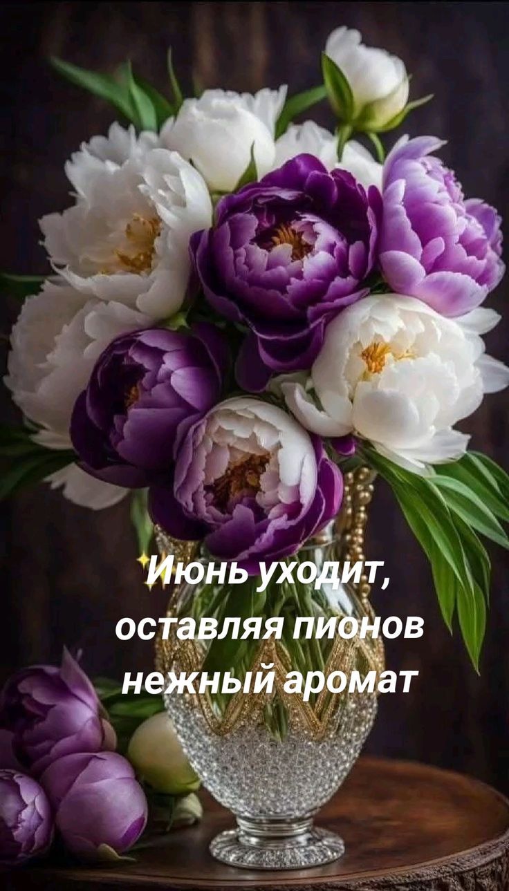 Июнь уходит, оставляя пионов нежный аромат
