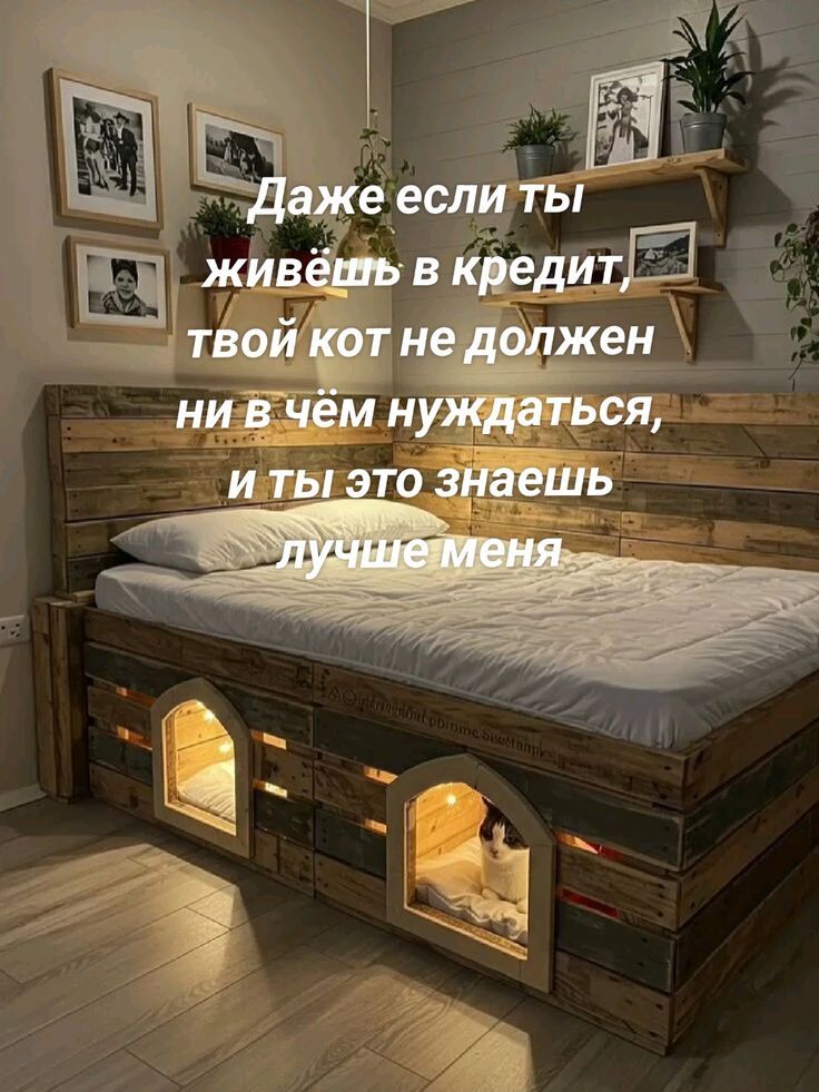 Даже если ты живёшь в кредит, твой кот не должен ни в чём нуждаться, и ты это знаешь лучше меня.