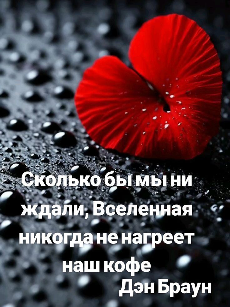 Сколько бы мы ни ждали, Вселенная никогда не нагреет наш кофе Дэн Браун
