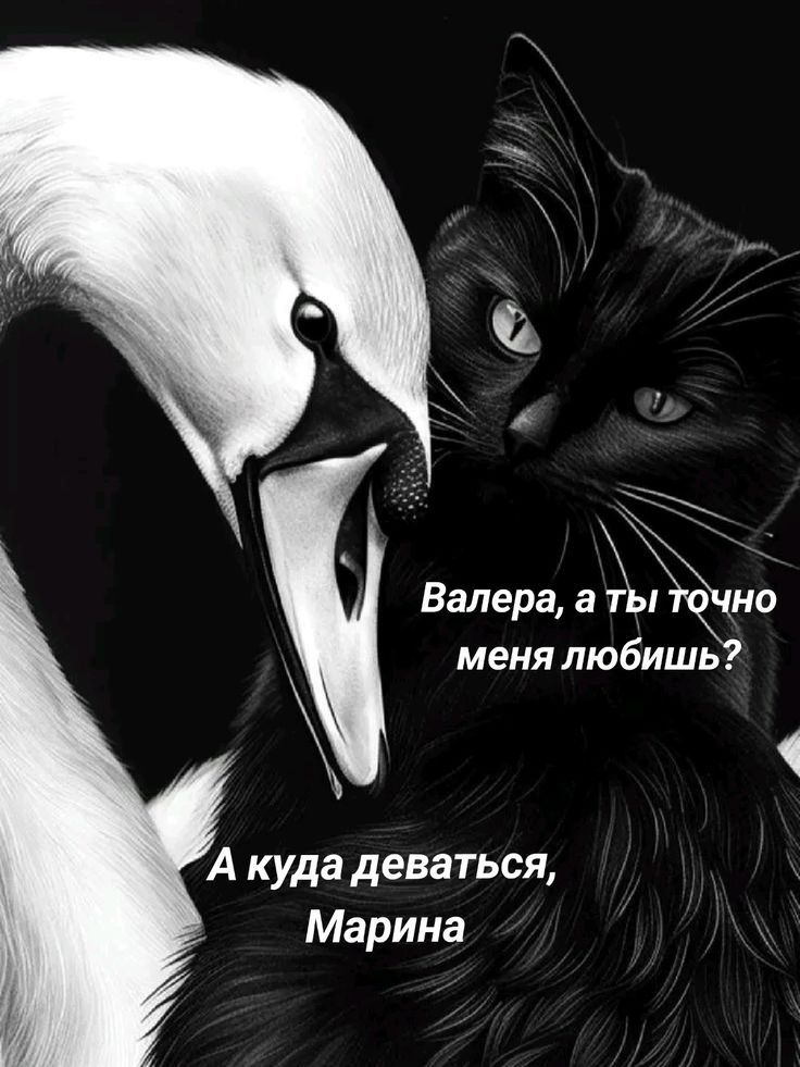 Валера, а ты точно меня любишь? А куда деваться, Марина