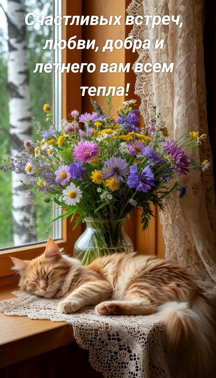 Счастливых встреч, любви, добра и летнего вам всем тепла!