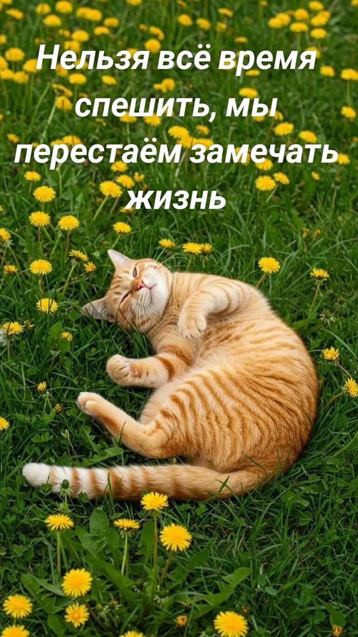 Нельзя всё время спешить, мы перестаём замечать жизнь