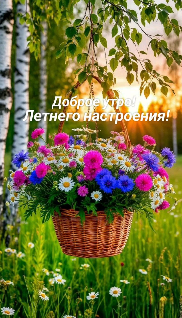 Доброе утро! Летнего настроения!