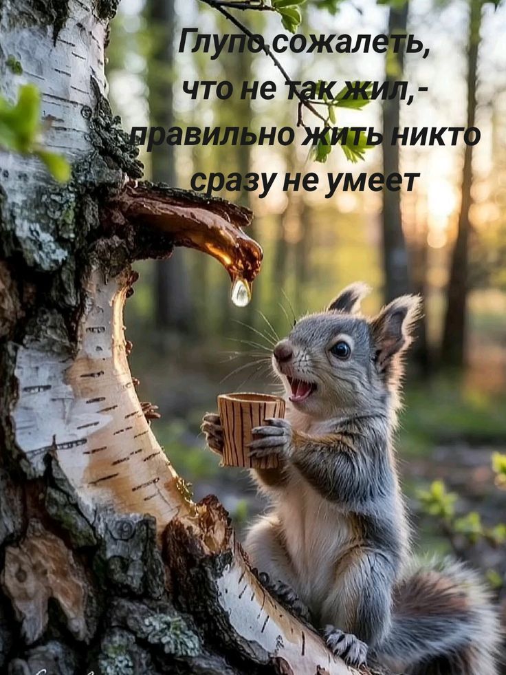 Глупо сожалеть, что не так жил, - правильно жить никто сразу не умеет