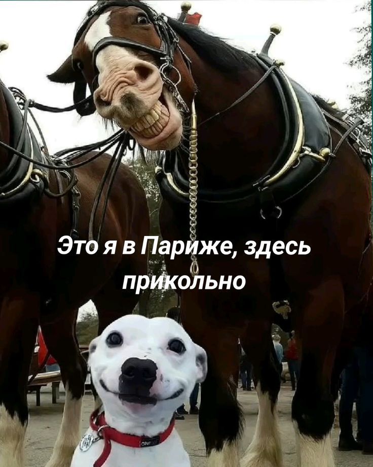 Это я в Париже, здесь прикольно