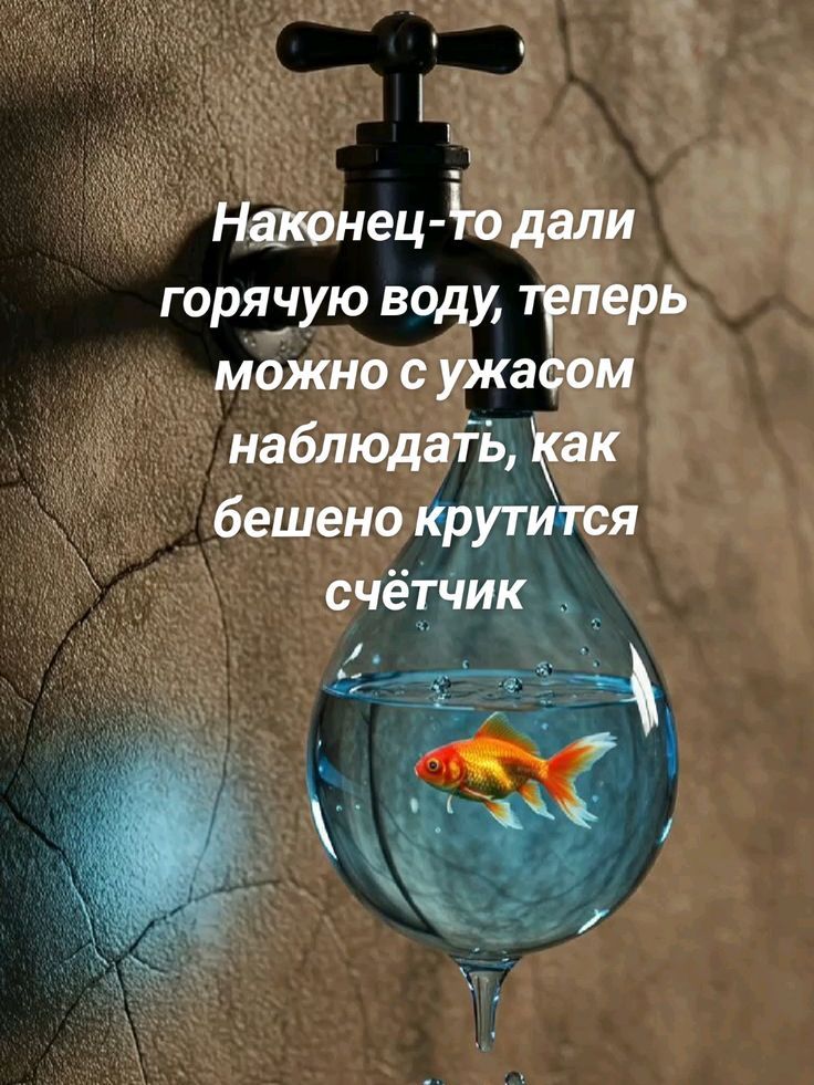 Наконец-то дали горячую воду, теперь можно с ужасом наблюдать, как бешено крутится счётчик