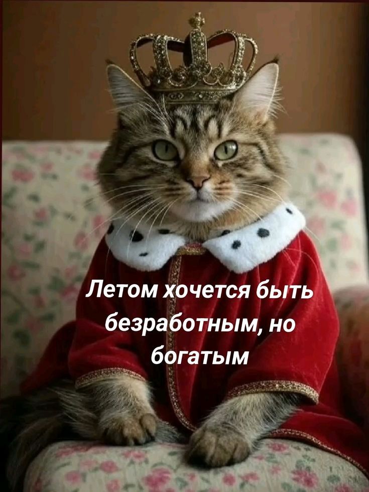 Летом хочется быть безработным, но богатым