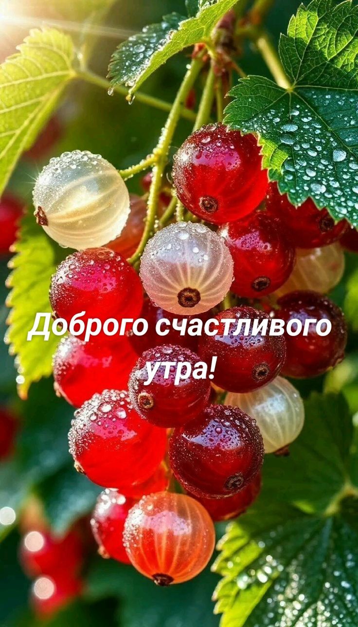 Доброе счастливоого утра!