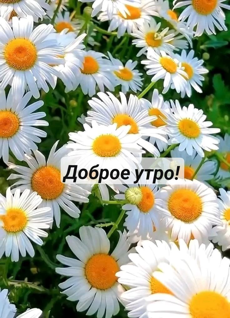 Доброе утро!