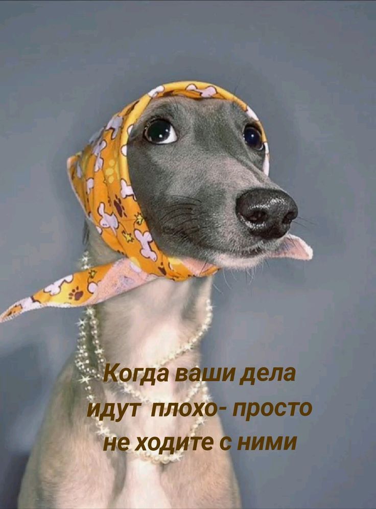 Когда ваши дела идут плохо - просто не ходите с ними