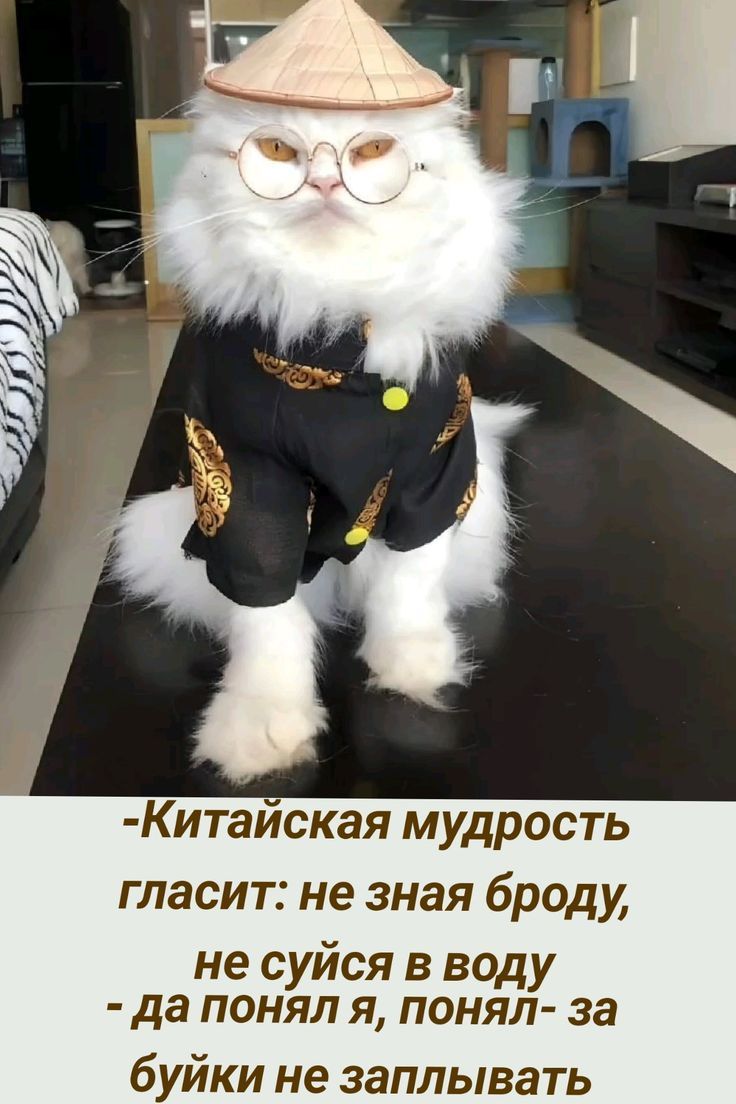-Китайская мудрость гласит: не зная бродю, не суйся в воду - да понял я, понял - за буйки не заплывать