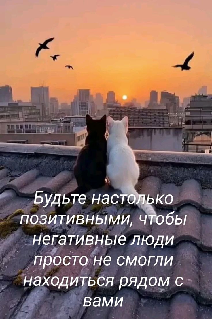 Будьте настолько позитивными, чтобы негативные люди просто не смогли находиться рядом с вами