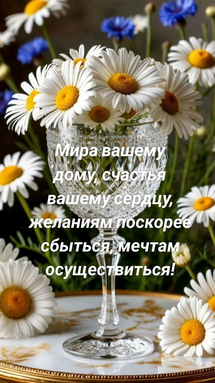 Мира вашему дому, счастья вашему сердцу, желаниям поскорее сбыться, мечтам осуществиться!