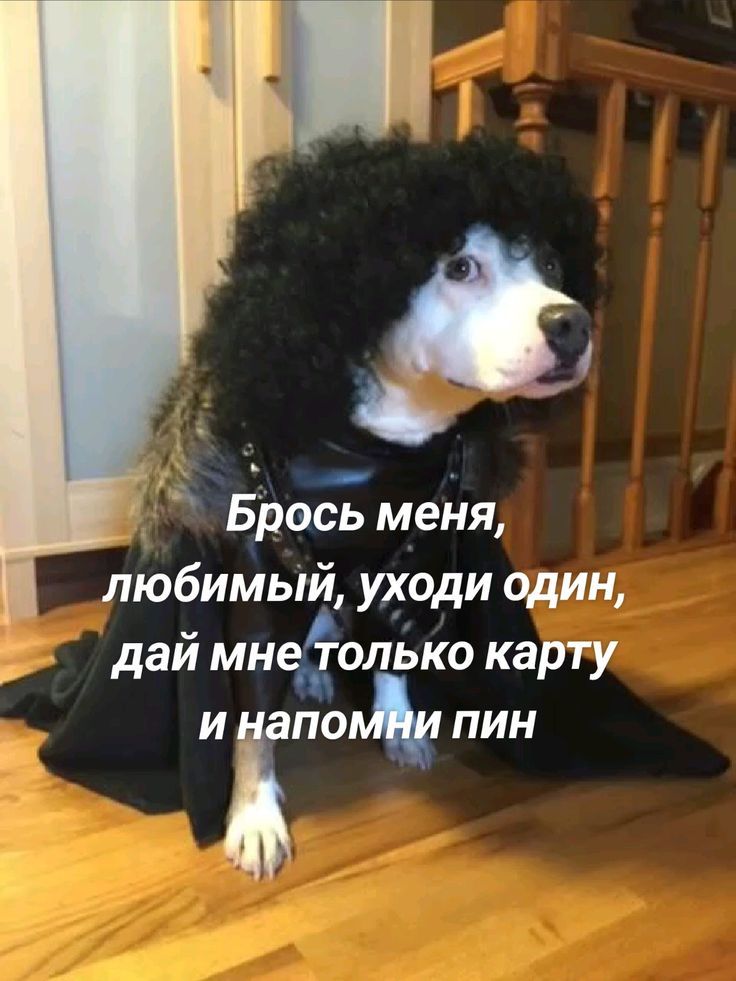 Брось меня, любимый, уходи один, дай мне только карту и напомни пин