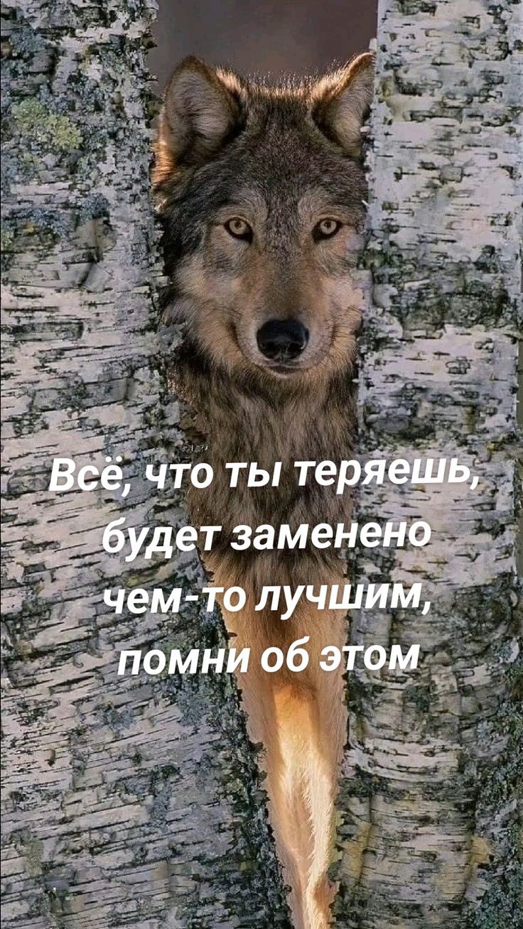 Всё, что ты теряешь, будет заменено чем-то лучшим, помни об этом