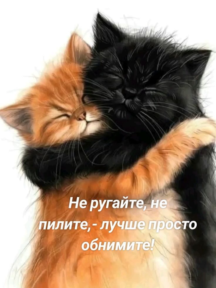 Не ругайте, не пилите, - лучше просто обнимите!