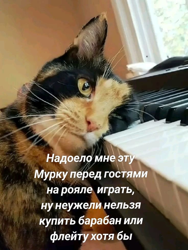 Надоело мне эту Мурку перед гостями на рояле играть, ну неужели нельзя купить барабан или флейту хотя бы